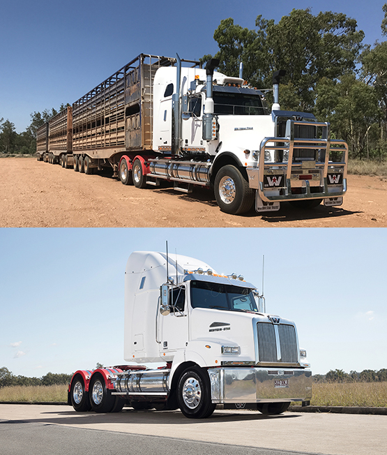 WS Trucks to Showcase 5800FE and 6900 at BTS